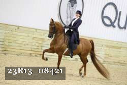 23R13_08421 thumbnail