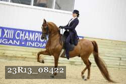 23R13_08422 thumbnail