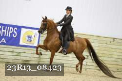 23R13_08423 thumbnail