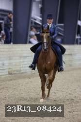 23R13_08424 thumbnail