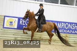 23R13_08425 thumbnail