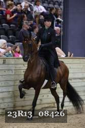 23R13_08426 thumbnail
