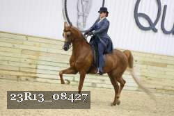 23R13_08427 thumbnail