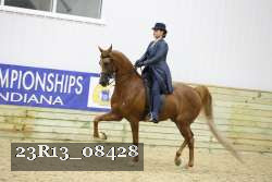 23R13_08428 thumbnail