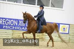 23R13_08429 thumbnail