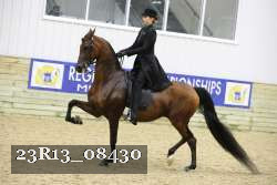23R13_08430 thumbnail