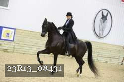 23R13_08431 thumbnail