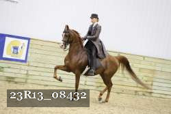 23R13_08432 thumbnail