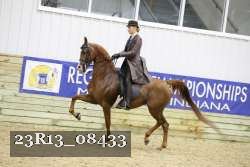 23R13_08433 thumbnail