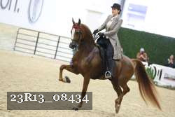 23R13_08434 thumbnail