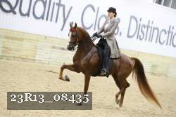 23R13_08435 thumbnail