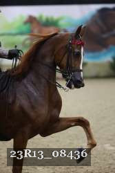 23R13_08436 thumbnail