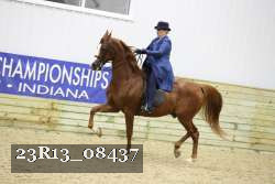 23R13_08437 thumbnail