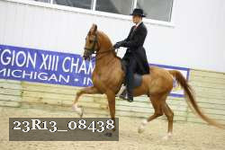 23R13_08438 thumbnail
