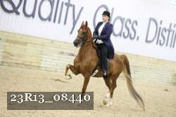 23R13_08440 thumbnail