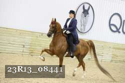 23R13_08441 thumbnail
