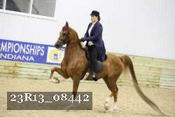23R13_08442 thumbnail