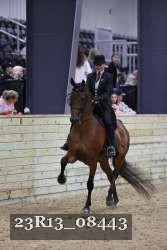 23R13_08443 thumbnail