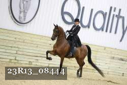 23R13_08444 thumbnail
