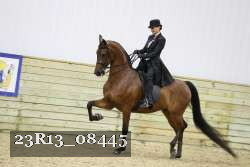 23R13_08445 thumbnail