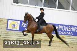 23R13_08446 thumbnail