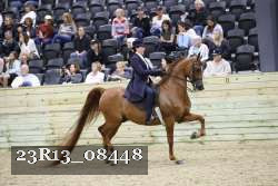 23R13_08448 thumbnail
