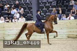 23R13_08449 thumbnail