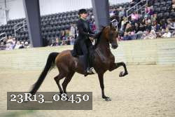 23R13_08450 thumbnail