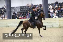 23R13_08451 thumbnail