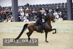 23R13_08452 thumbnail