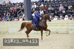 23R13_08453 thumbnail