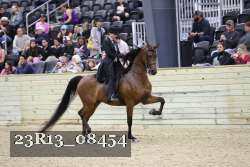 23R13_08454 thumbnail