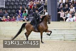 23R13_08455 thumbnail
