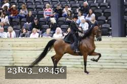 23R13_08456 thumbnail