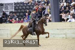 23R13_08457 thumbnail