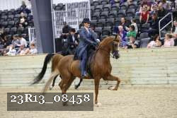 23R13_08458 thumbnail