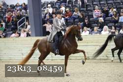 23R13_08459 thumbnail