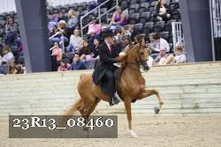 23R13_08460 thumbnail