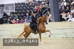 23R13_08461 thumbnail