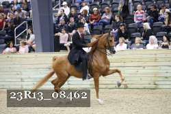 23R13_08462 thumbnail