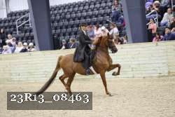 23R13_08463 thumbnail