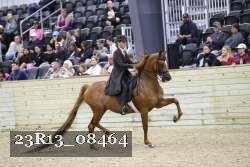 23R13_08464 thumbnail