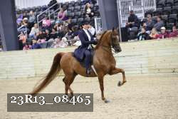 23R13_08465 thumbnail