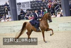 23R13_08466 thumbnail