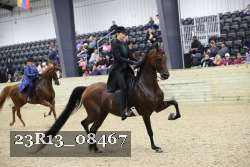 23R13_08467 thumbnail