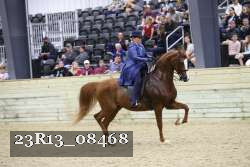 23R13_08468 thumbnail