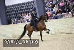 23R13_08469 thumbnail
