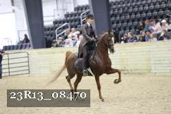 23R13_08470 thumbnail