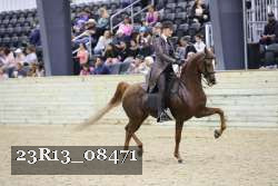 23R13_08471 thumbnail