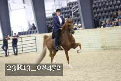 23R13_08472 thumbnail